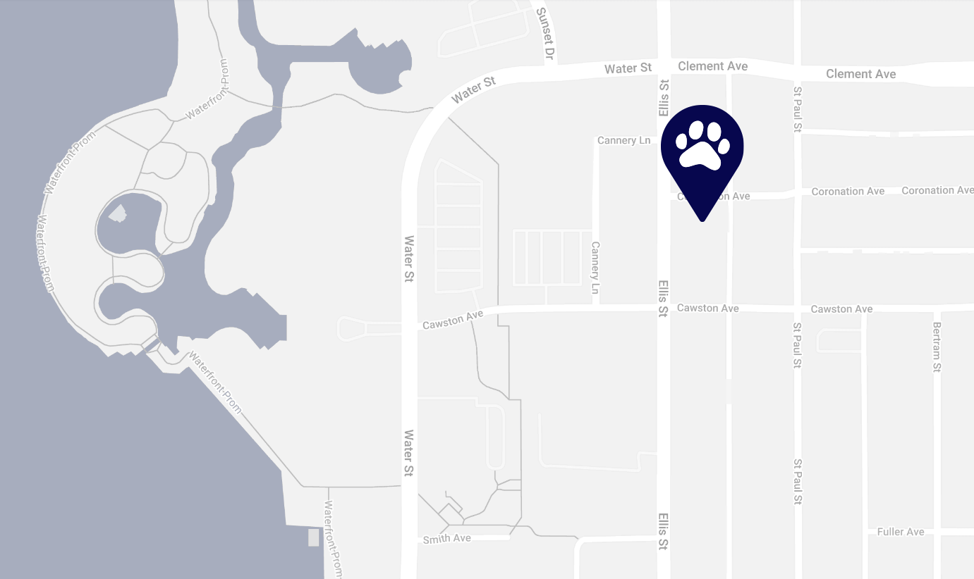 Kelowna Fur Ball BC SPCA